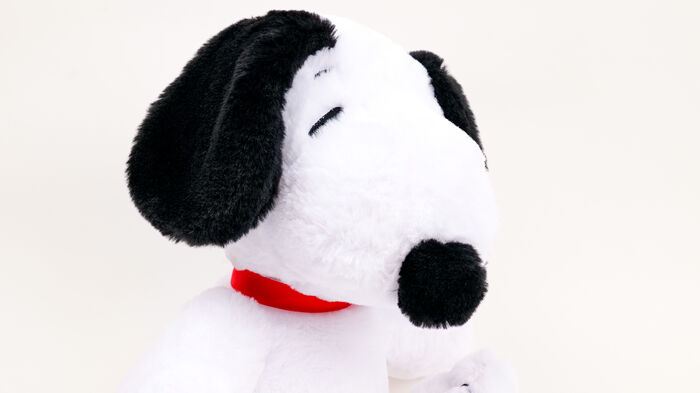 Image of 10" Plush Snoopy Packaging